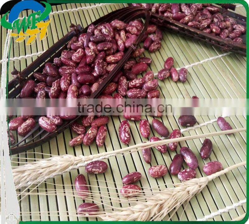 2015 Purple Speckled Kidney Beans