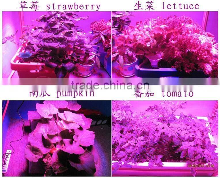 Wholesale 300W Led Grow Full Spectrum Light