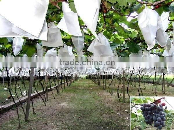 Pp Spunbond Non-woven Fabric For Banana Cover 30gsm