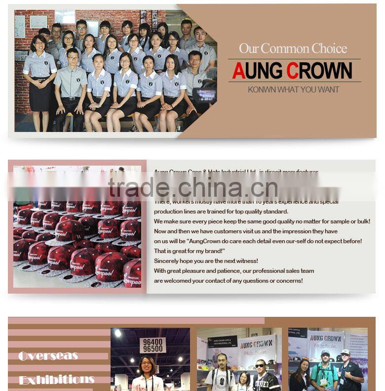 new beanie hat,newest funny beanie hat,new style beanie hat