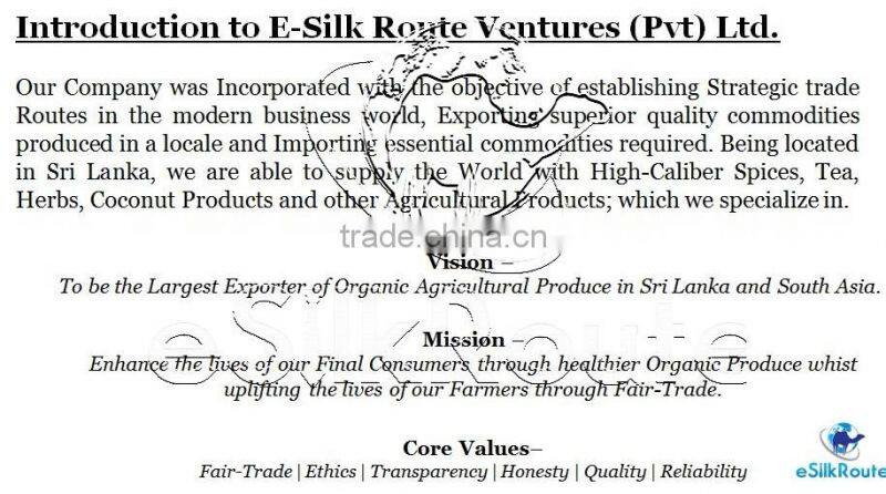 Organic Mango Fruit Bar