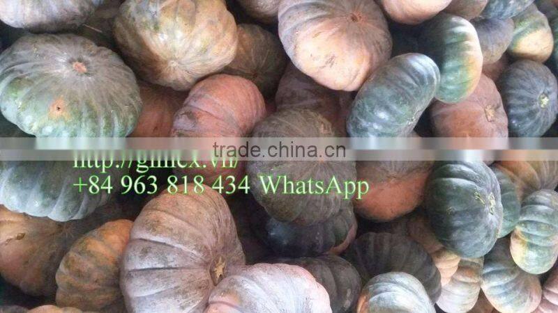 FRESH PUMPKIN +84963818434 whatsapp