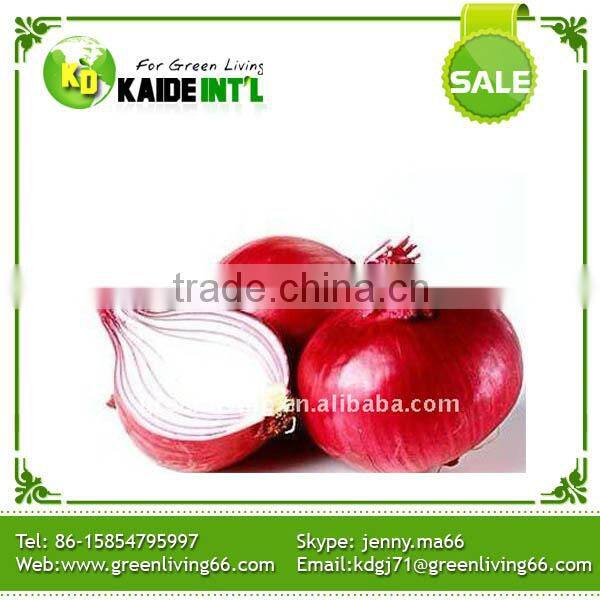 Popular Equipment Fresh Big Onion