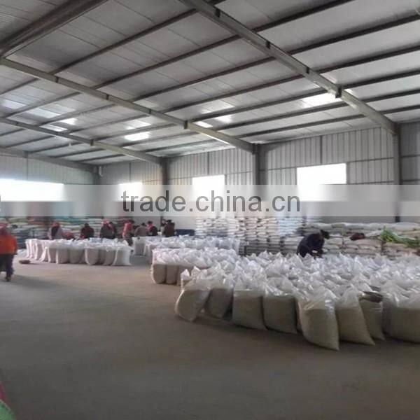 sunflower kernels Chinese organic dried sunflower seeds