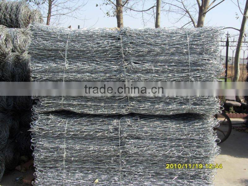 bird cage wire mesh