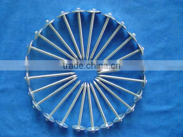 roofing nail 2014 hot sale !!! JOINT VENTURE anping wire mesh factory