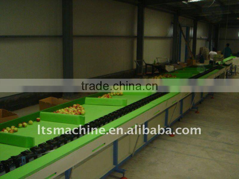 mango sorting machine