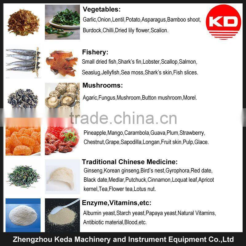 Freeze Drying Machine for Pharmaceutical