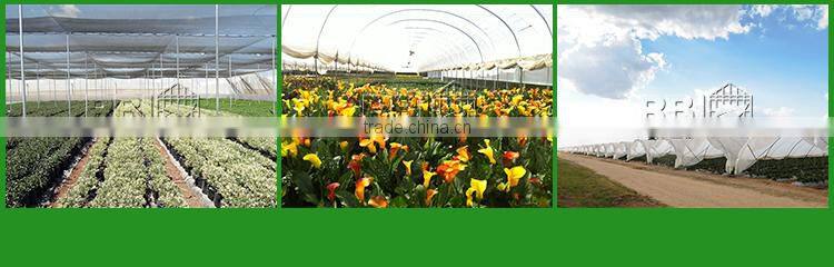 PC sheet greenhouse glass greenhouse Venlo greenhouse for research and exhibition