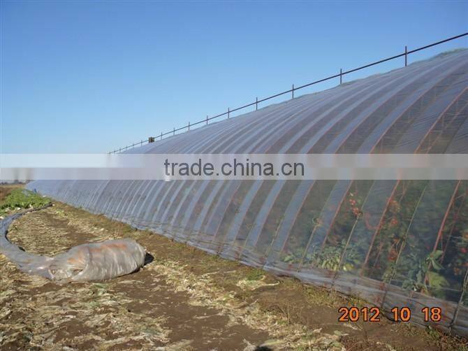 Single span PE film Greenhouse film for Orange growing