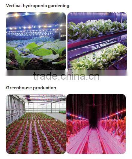 Dimmable 36W LED grow bar light for multilayer cultivation