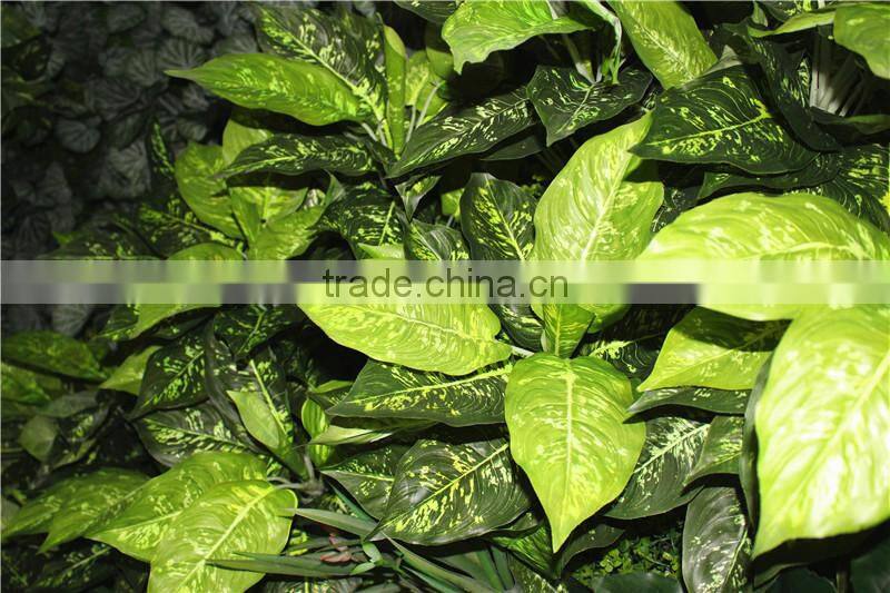 stickers home garden deco 200*200 cm indoor or outdoor artificial corner succulent green climbing plant wall Ezwq10 103