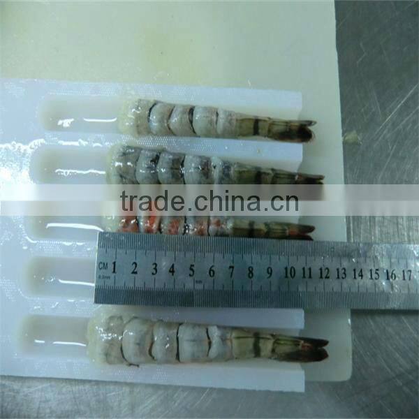 New fired frozen breaded raw fresh water shrimp in good quality