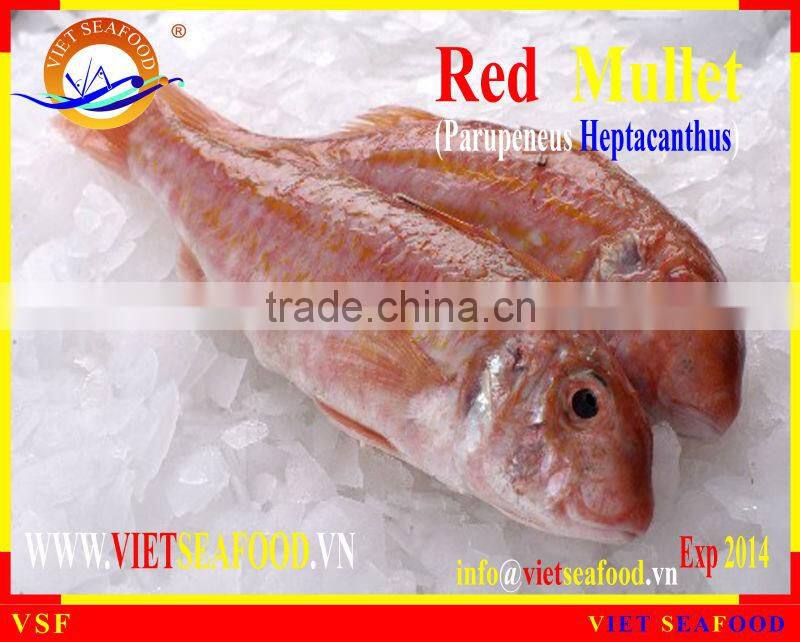 FROZEN RED MULLET WHOLE ROUND