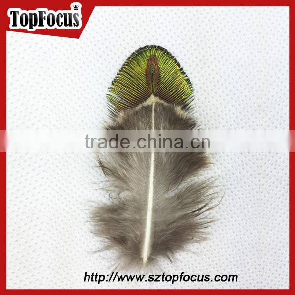 New Trendy gold color cheap artificial peacock feathers for sale