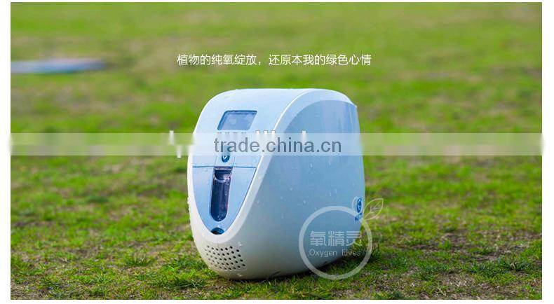 portable oxygen concentrator ZH-J10