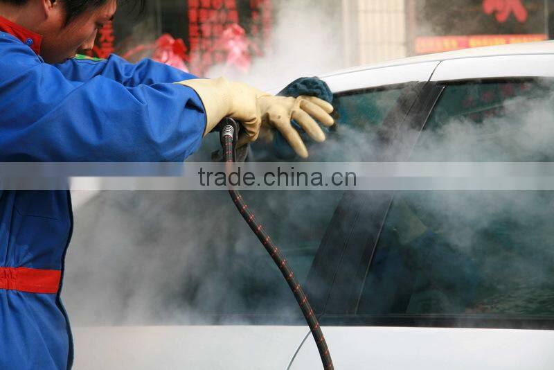 mobile steam car wash, 220V 6KW steam washer, steam car wash system