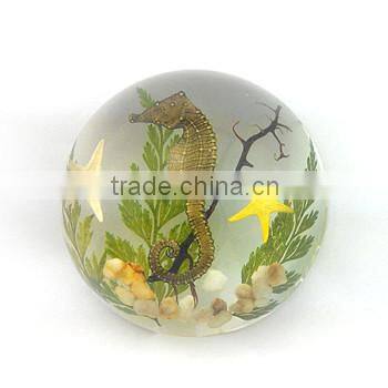 Green sea life glow in dark resin home desk acrylic decoration