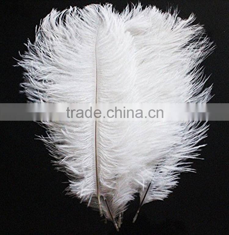 Real natural plumage wholesale cheap white ostrich feathers large feathers trim