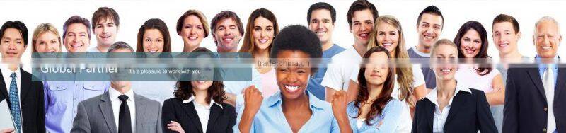 Safe highly efficient residential home 4 person passenger lift