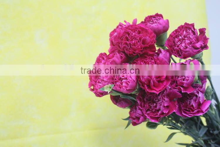Various promotional flower arrangements fresh cut flower carnation