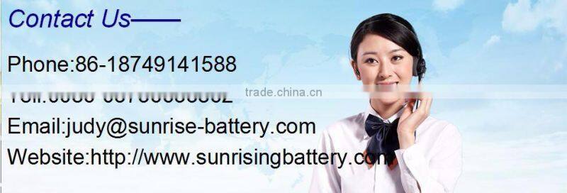 NiCd Rechargeable battery d 6v 5000 ni cd battery pack /d4500 nicd battery pack