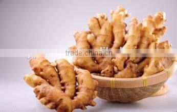 New crop specification dry ginger with high quality
