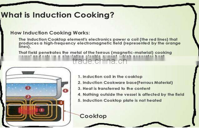 Electric Double Burner ih Induction Cooker Power Consumption with CE