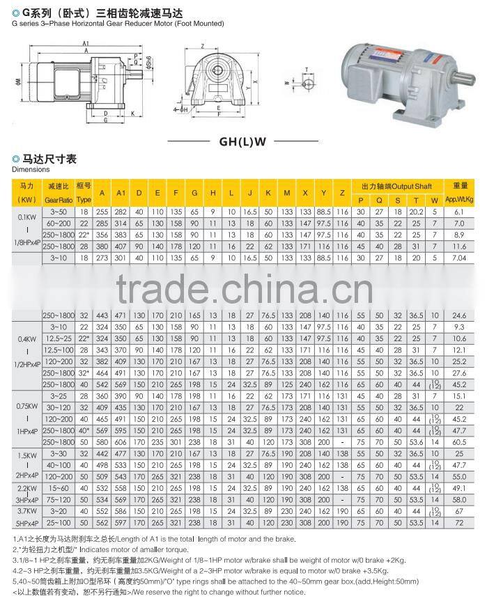 Single Phase Electric Motor with Reduction Gear