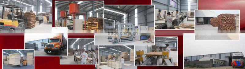Eucalyptus joint Core Veneer for making Plywood from Vietnam