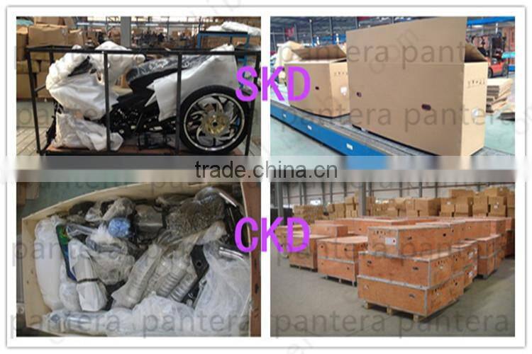 250cc Quite Fast Hot Sale Racing 2 Wheeler Motorcycle