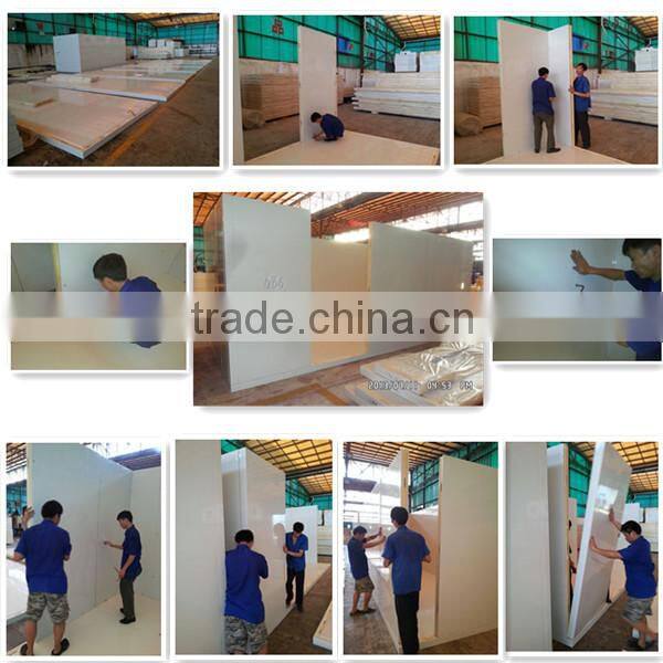 PU Insulation Freezer Meat Storage Room