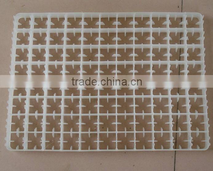 88 chicken eggs tray