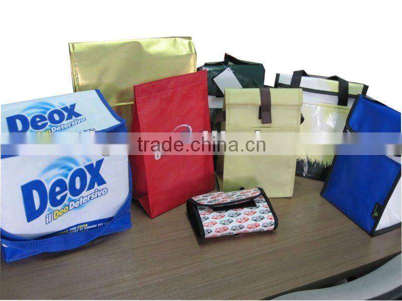 insulated cooler bag