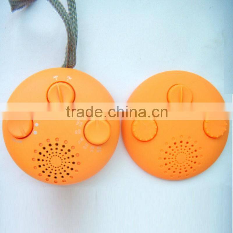 mini FM AM shower radio
