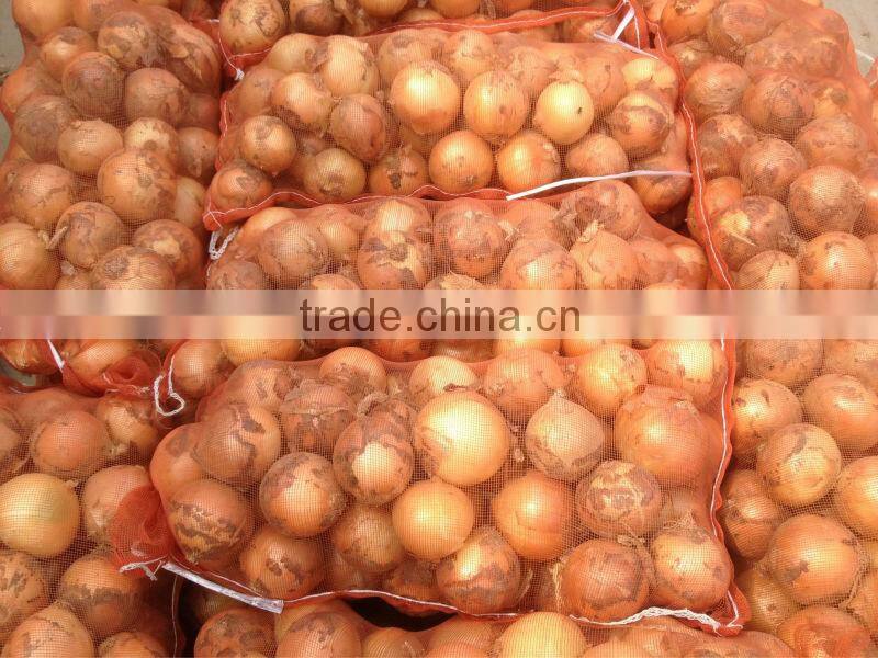 Yellow Onion Red Onion Specification Fresh