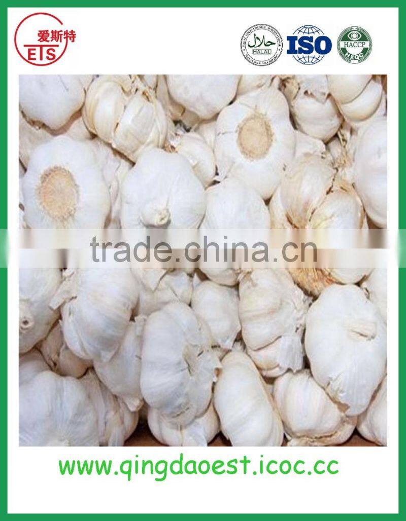 Top quality factory price fresh white garlic
