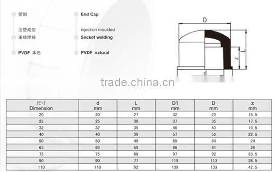 PVDF SW/Socket Welding End Cap