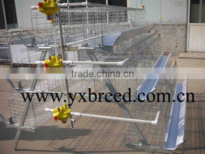chicken cage,automatic poultry equipment,chicken layer cage