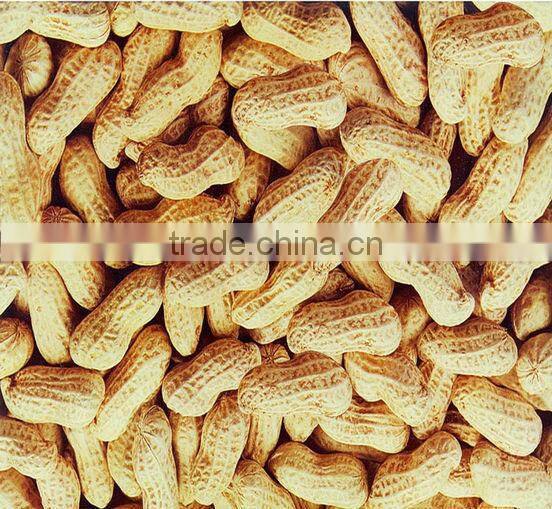 Peanut Sieving Machine/Sieving Machine/Peanut Grader for sale