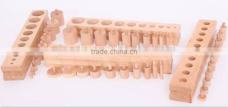 Teaching AIDS Wooden educational toys montessori Cylinders blocks