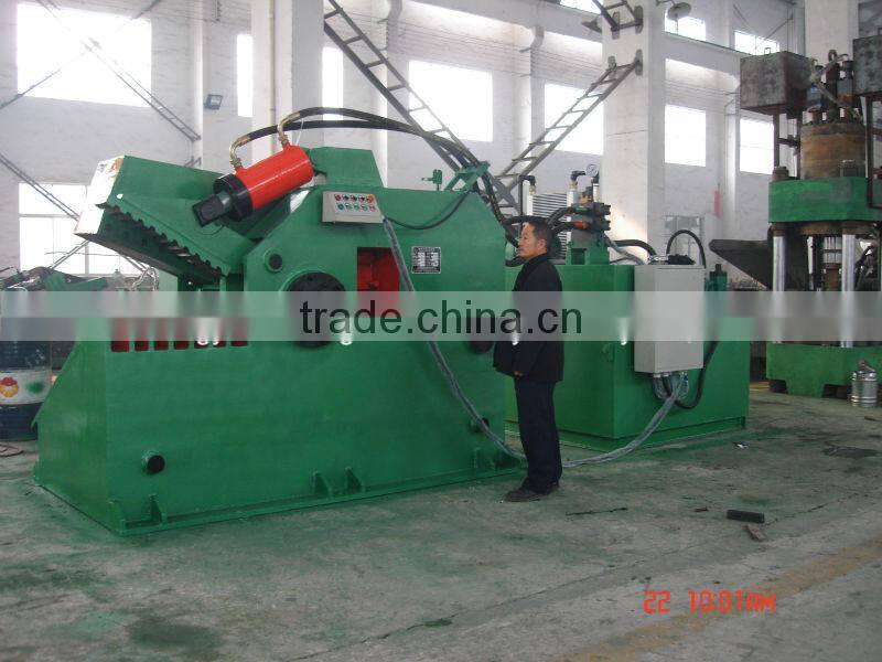 Hydraulic Alligator Shearing/Cutting Machine
