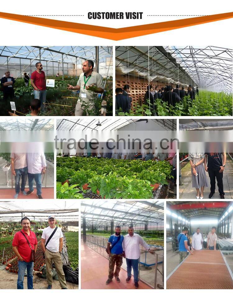 Garden greenhouse glass greenhouse with seed bed made in China