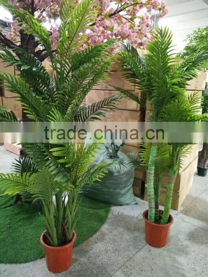 Green decorative plants