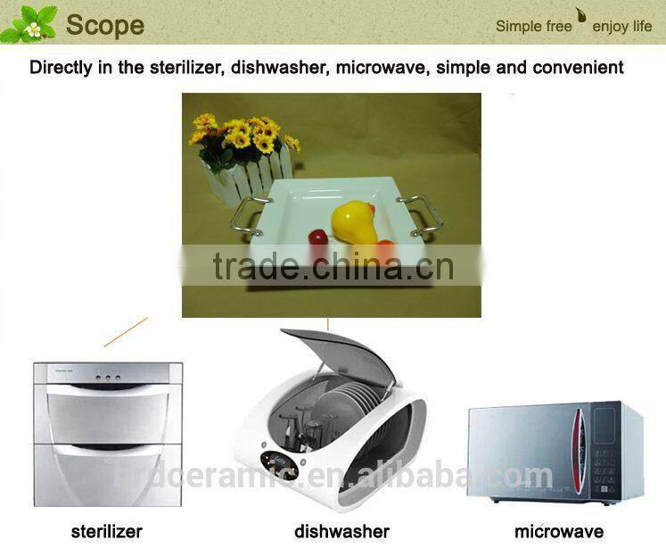 Divided stock ceramic dinner plates with handles