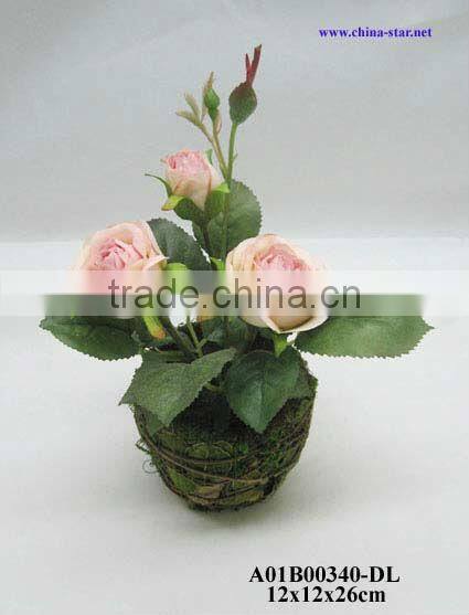 potted roses
