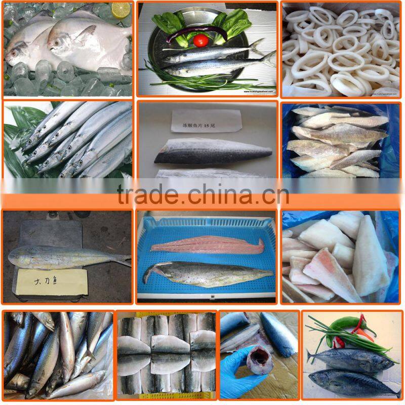 A grade quality frozen spanish mackerel fillets