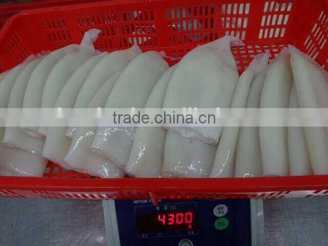 Cleaned Frozen Illex Argentina Squid Tube U5 U7 U10
