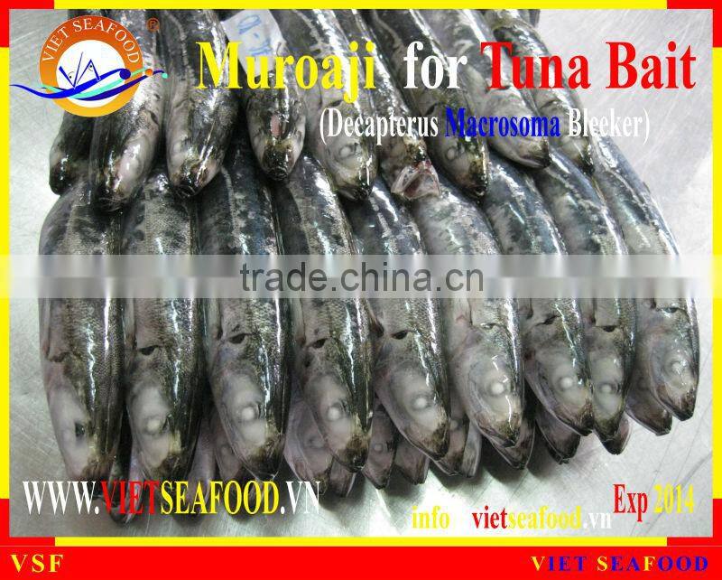 MUROAJI FOR TUNA BAIT