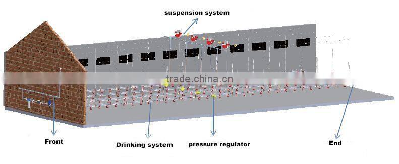 Heracles Factory price poultry feeders and drinkers